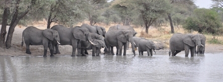 Tarangire National Park, Tanzania